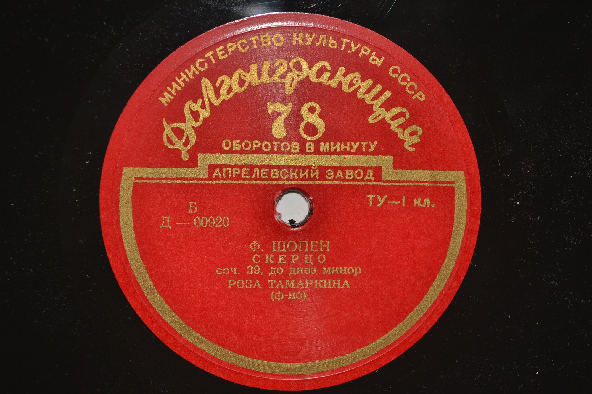 Роза ТАМАРКИНА (ф-но)