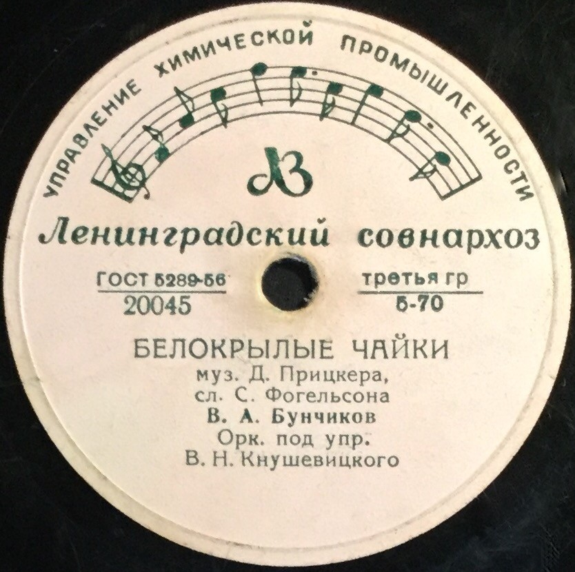 Дождик / Белокрылые чайки