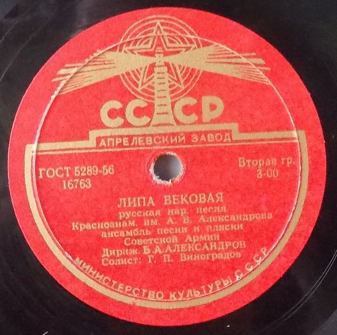 Метелица / Липа вековая