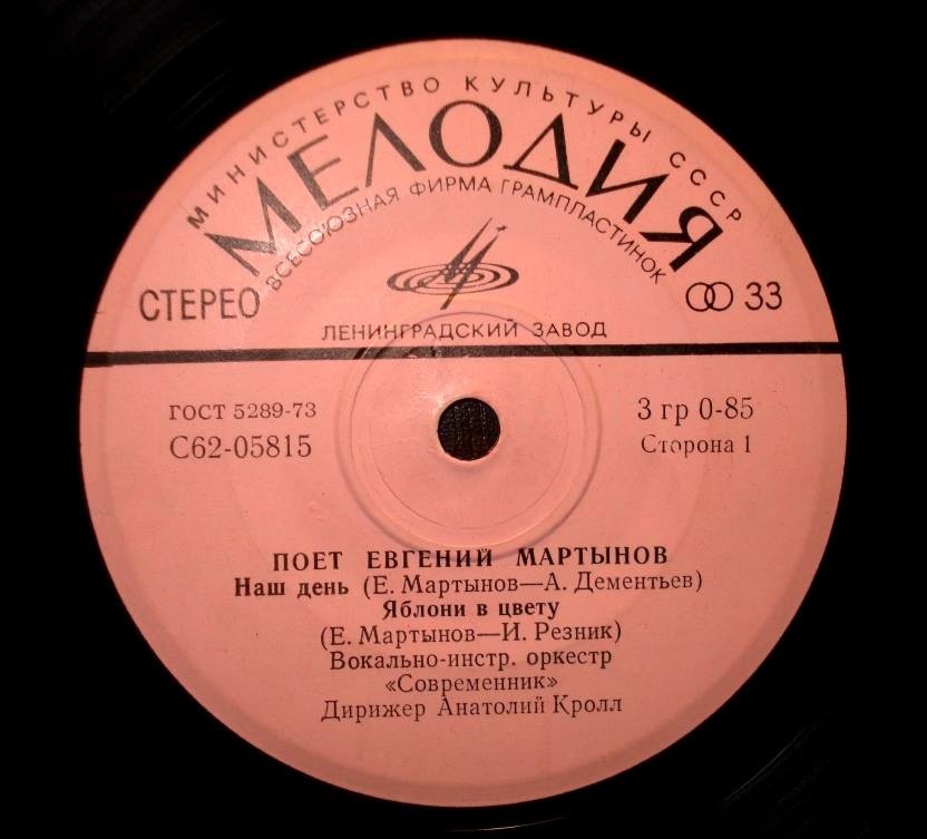 Поет Евгений Мартынов