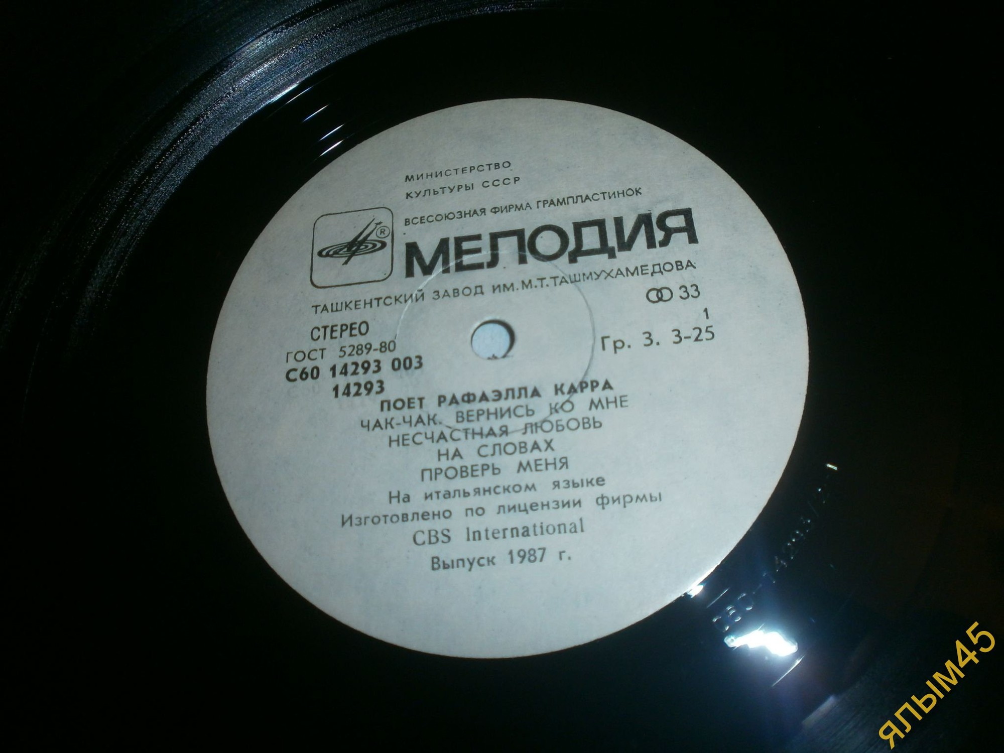 Поет Рафаэлла Карра