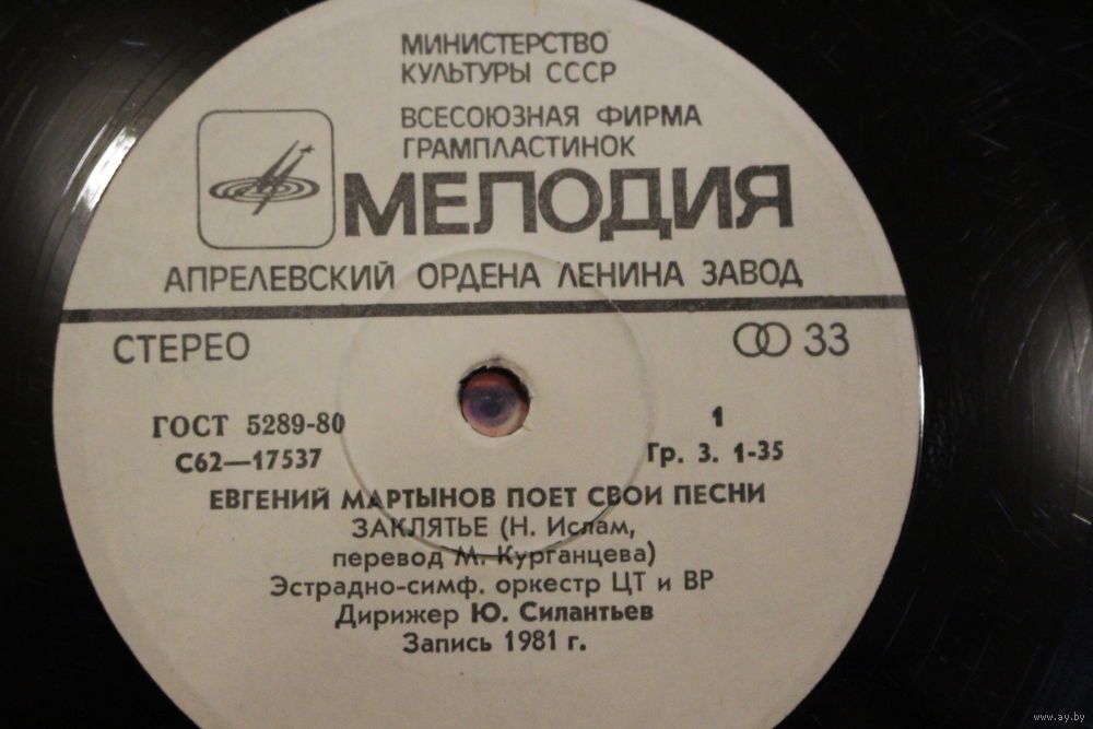 Евгений МАРТЫНОВ поет свои песни