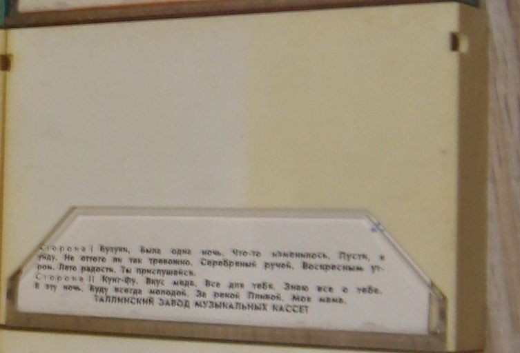 Песни в танцевальных ритмах (2)