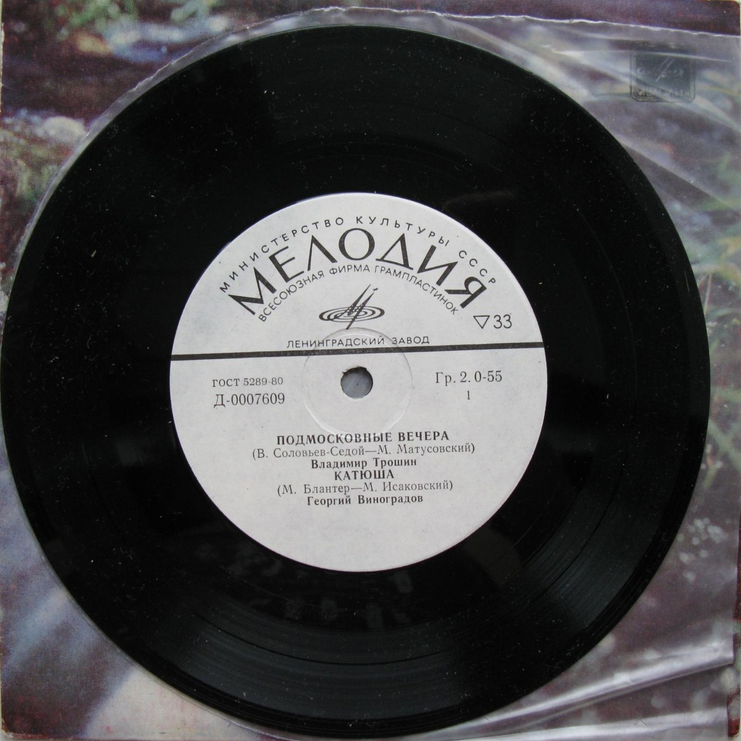 Песни советских композиторов, русская народная песня