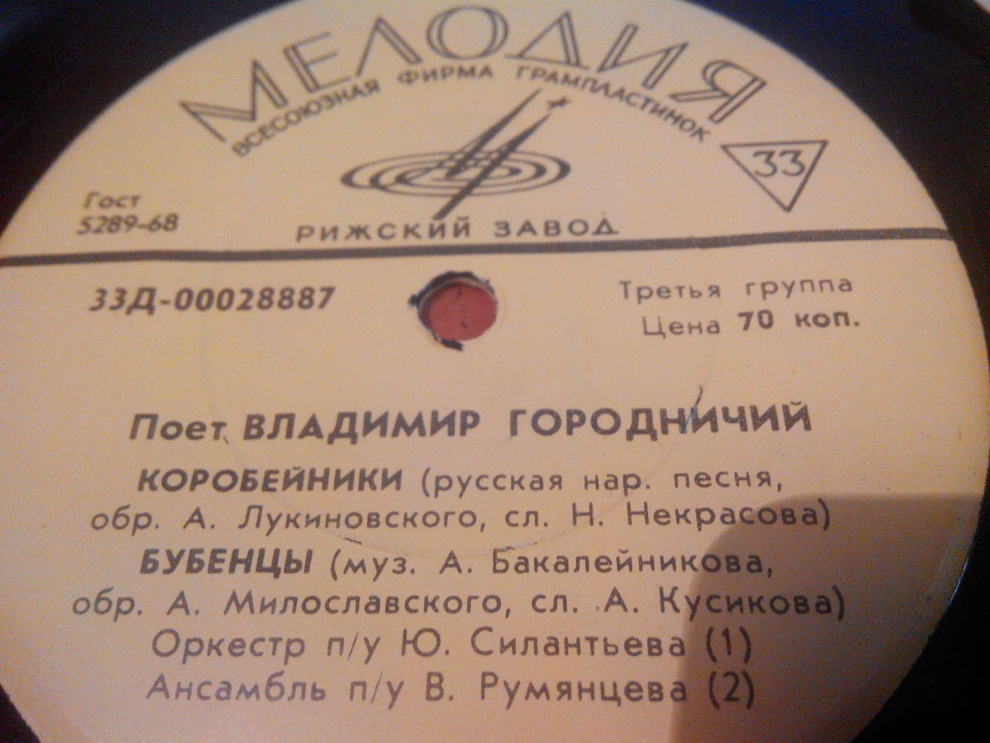 Поёт Владимир Городничий