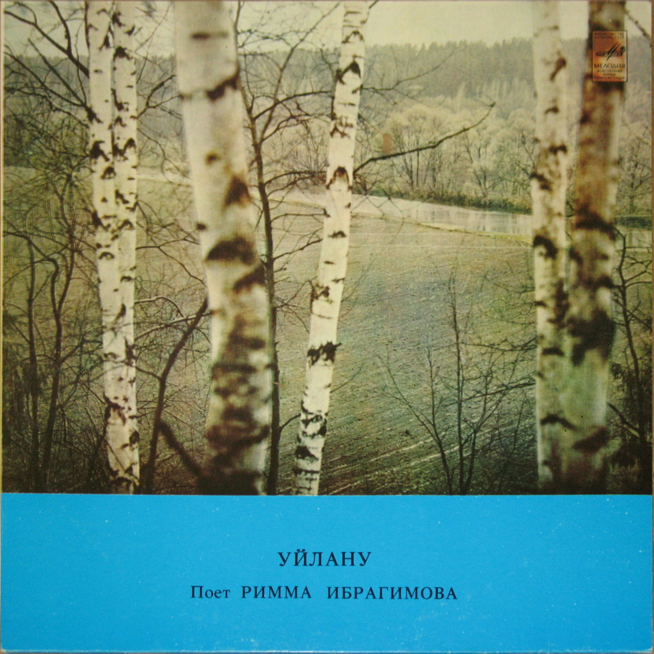 Римма ИБРАГИМОВА (Римма Ибраһимова): «Размышления / Уйлану» (на татарском языке)