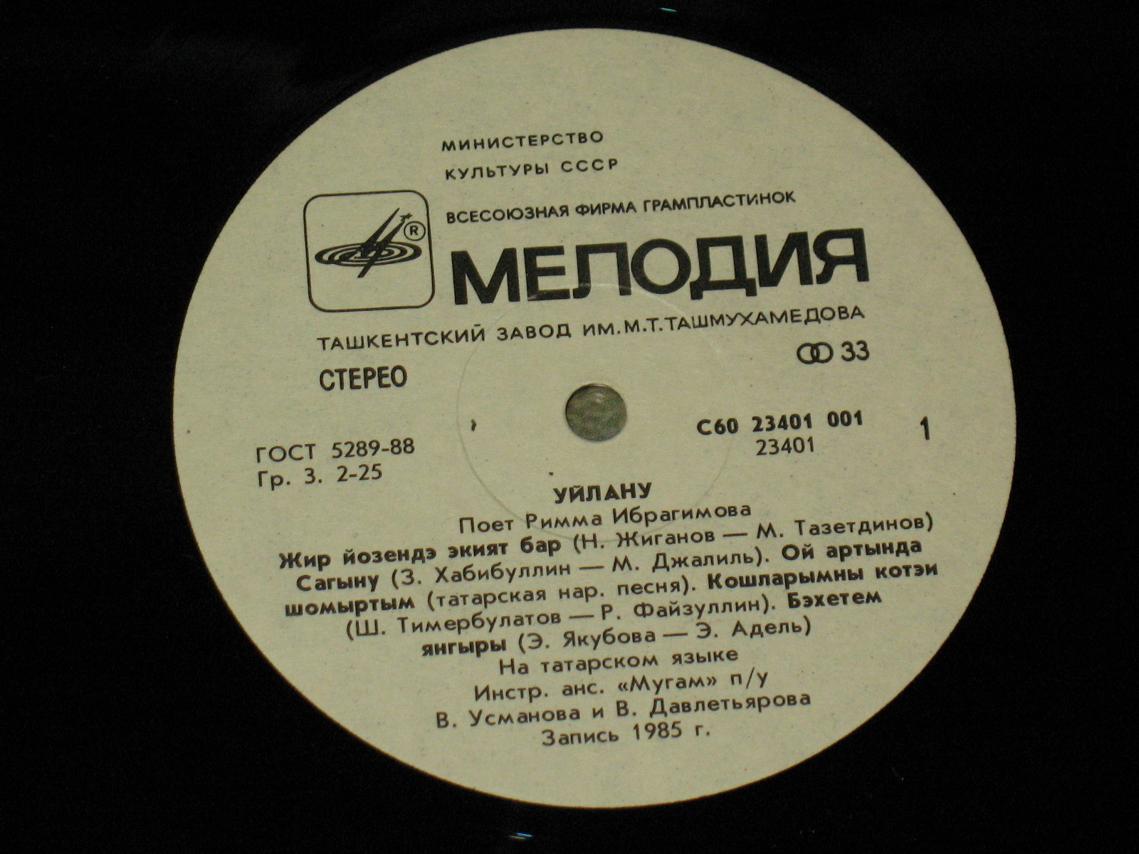 Римма ИБРАГИМОВА (Римма Ибраһимова): «Размышления / Уйлану» (на татарском языке)