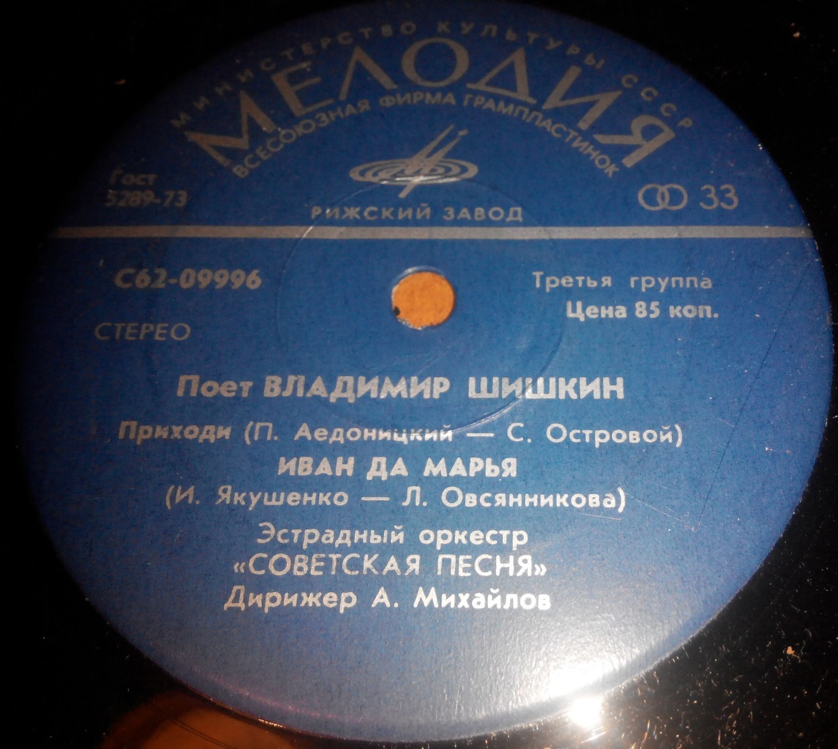 Поет Владимир ШИШКИН