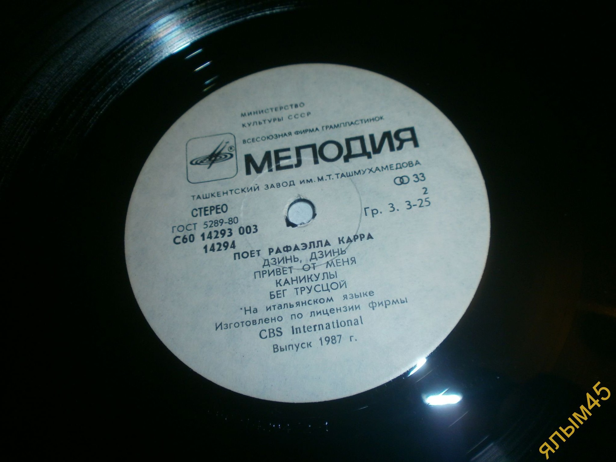 Поет Рафаэлла Карра