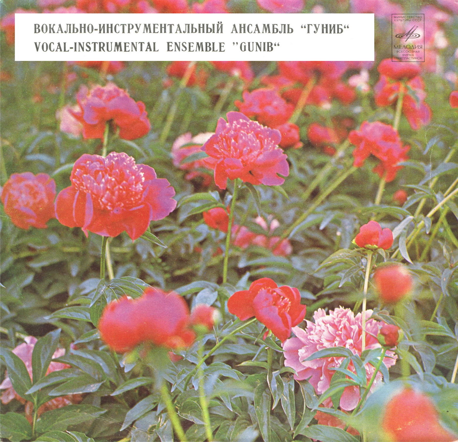 ВОКАЛЬНО-ИНСТРУМЕНТАЛЬНЫИ АНСАМБЛЬ «ГУНИБ» п/у М. Кажлаева