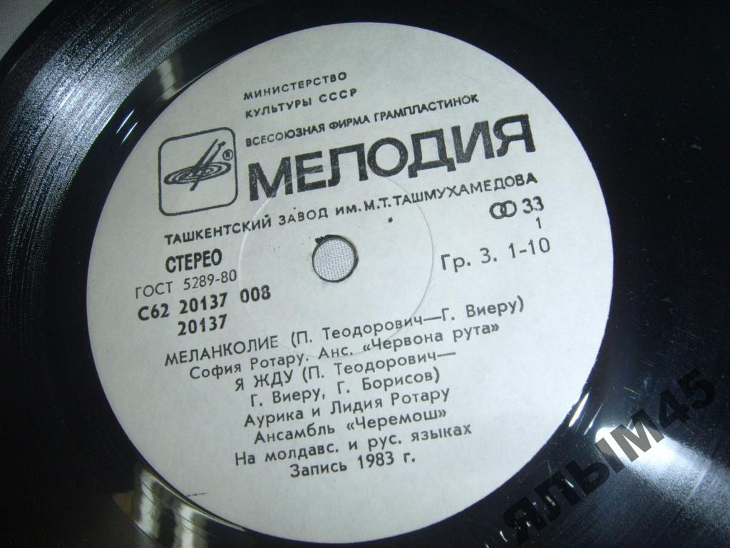 МЕЛАНКОЛИЕ. Песни Петре ТЕОДОРОВИЧА поют сестры РОТАРУ