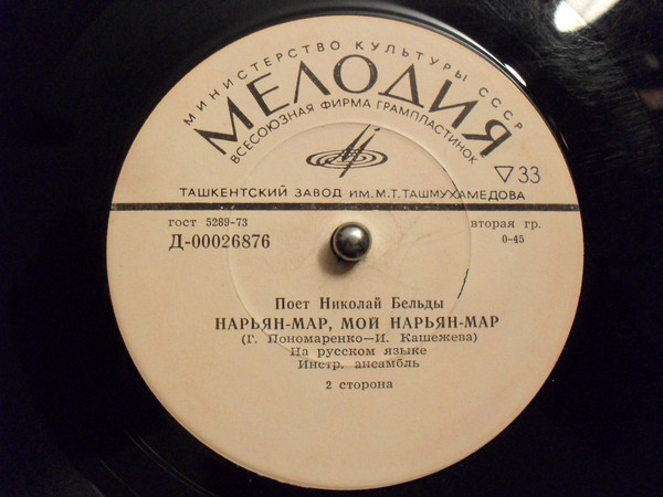 Поет Николай БЕЛЬДЫ