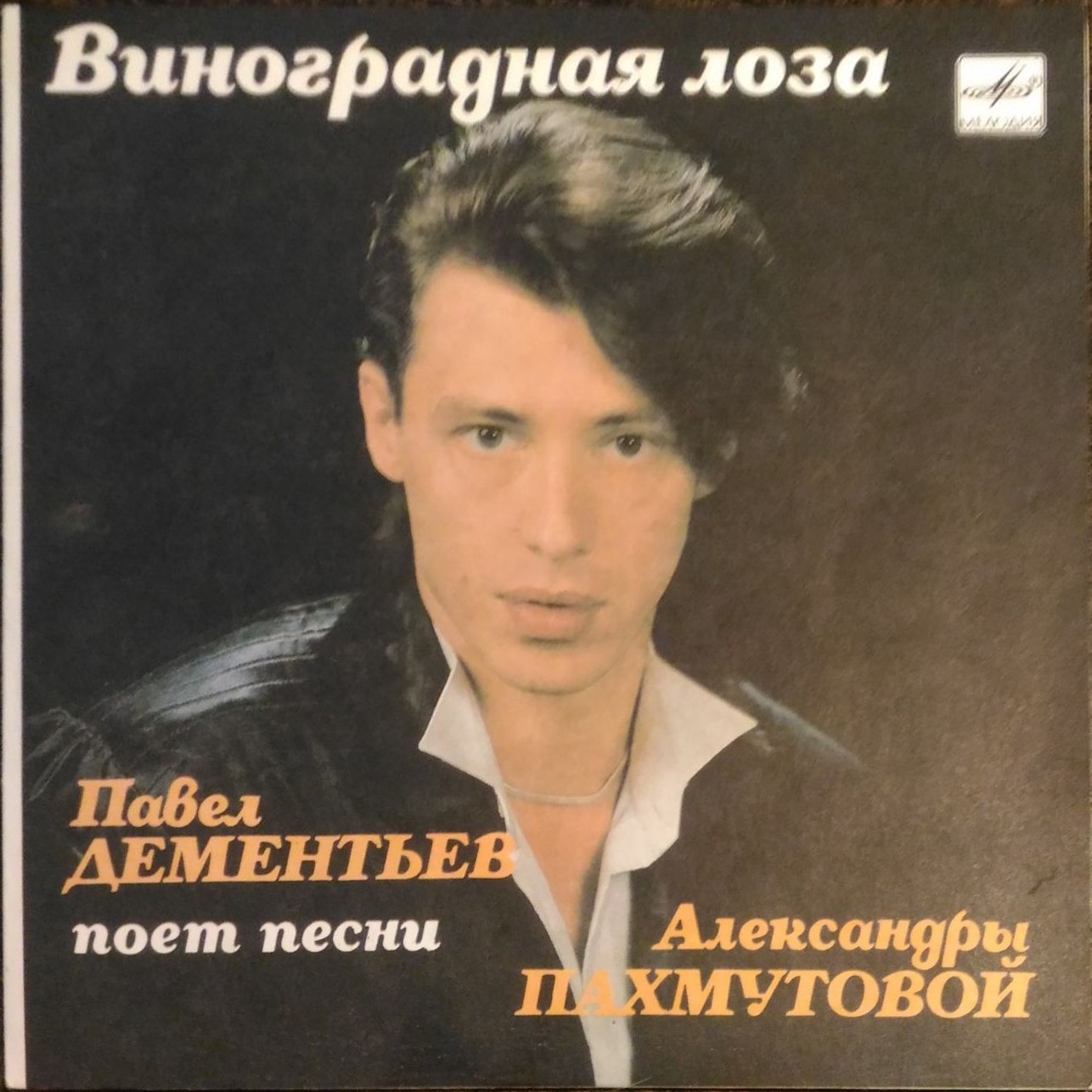 Виноградная лоза. Павел ДЕМЕНТЬЕВ поет песни Александры Пахмутовой
