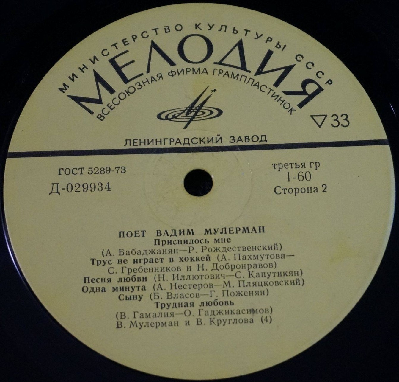 Поёт Вадим Мулерман