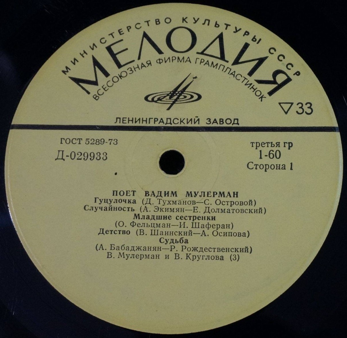 Поёт Вадим Мулерман