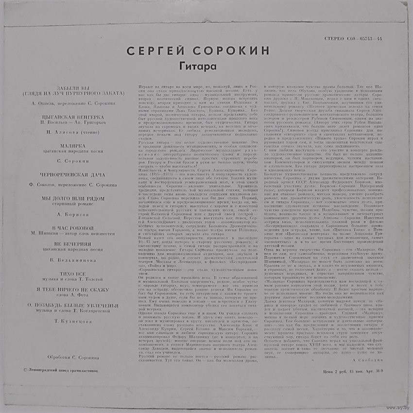 Сергей Сорокин (гитара)