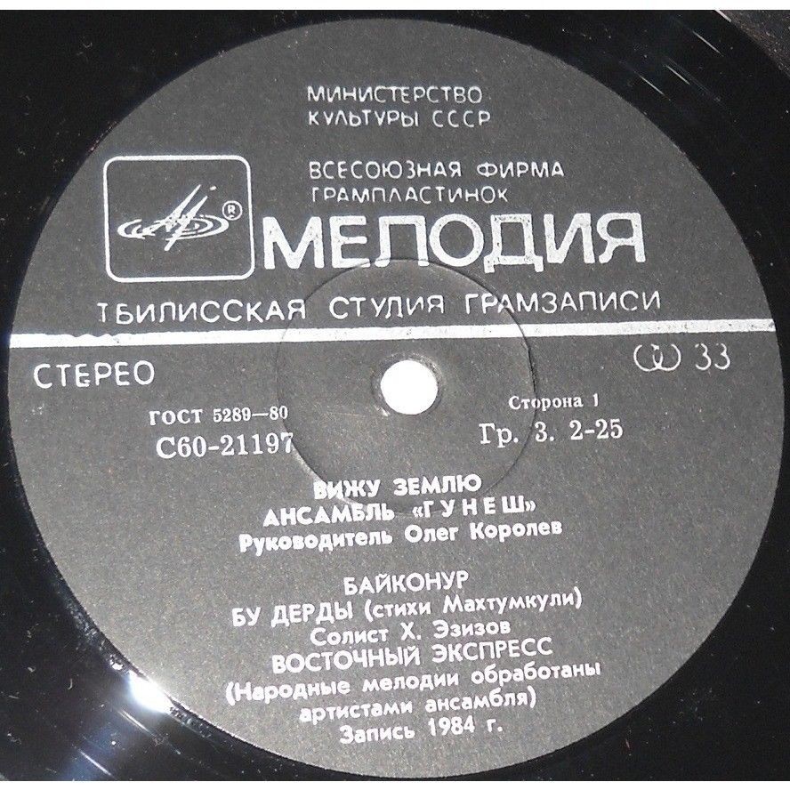 АНСАМБЛЬ «ГУНЕШ», рук. Олег Королев. «Вижу землю»