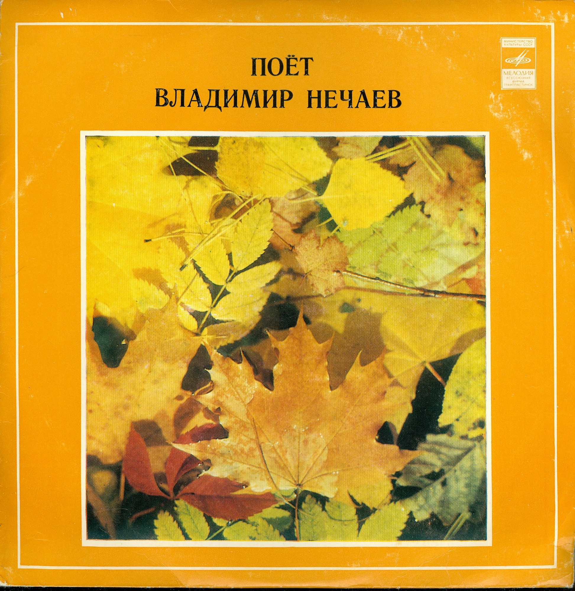 Владимир НЕЧАЕВ