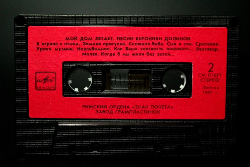 «Мой дом летает». Песни Вероники ДОЛИНОЙ.