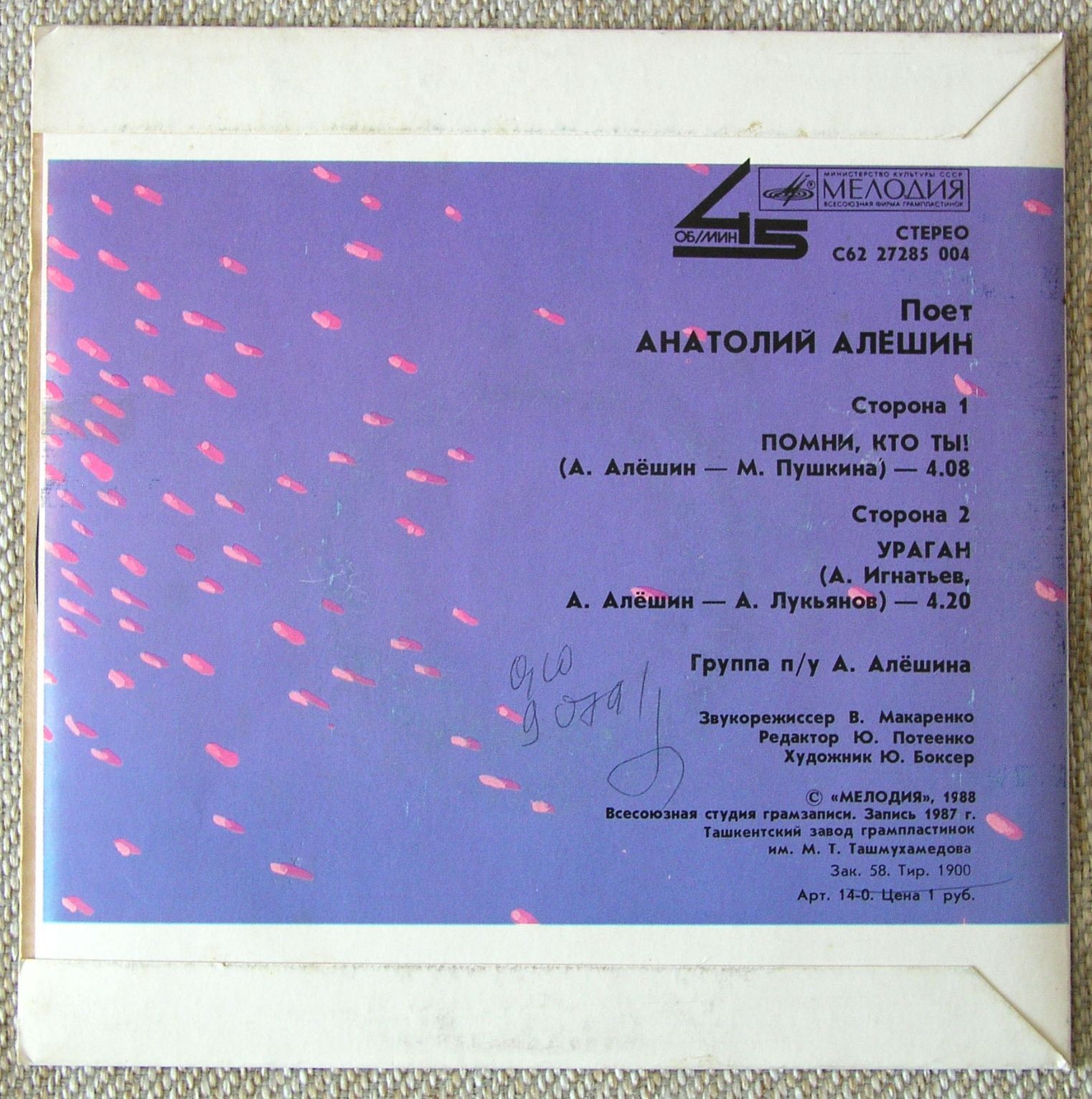 Поет Анатолий АЛЕШИН