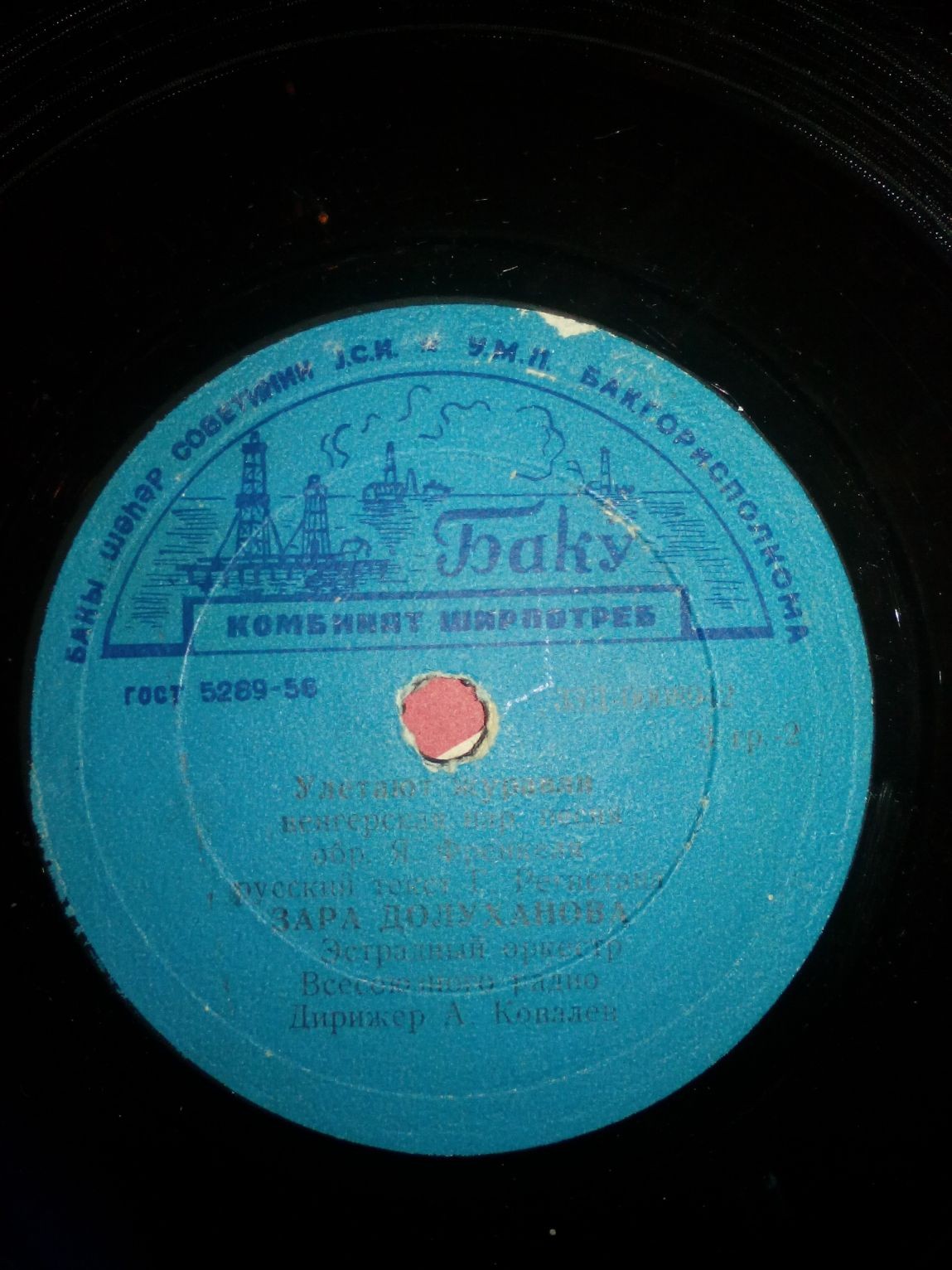 Зара Долуханова