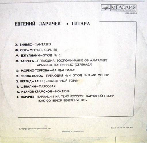 Евгений Ларичев (гитара)