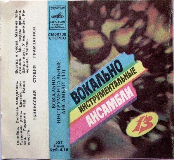 Вокально-инструментальные ансамбли (13)