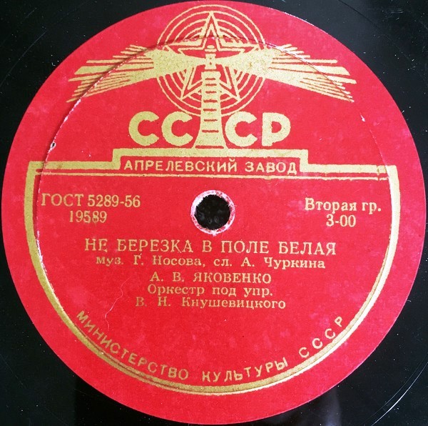 Буду ждать я лётчика / Не берёзка в поле белая