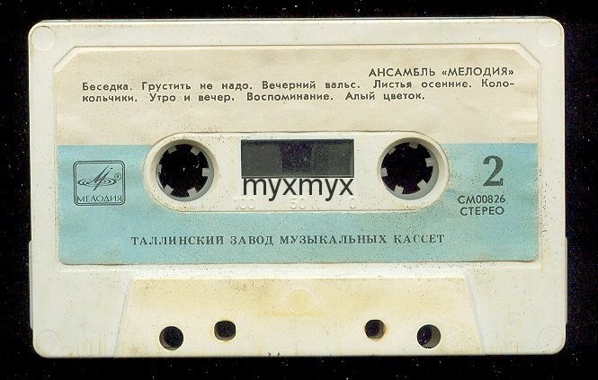 Ансамбль «МЕЛОДИЯ», руководитель Г. Гаранян.