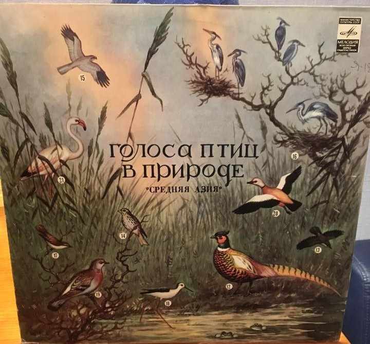 ГОЛОСА ПТИЦ В ПРИРОДЕ. Средняя Азия (6 серия)