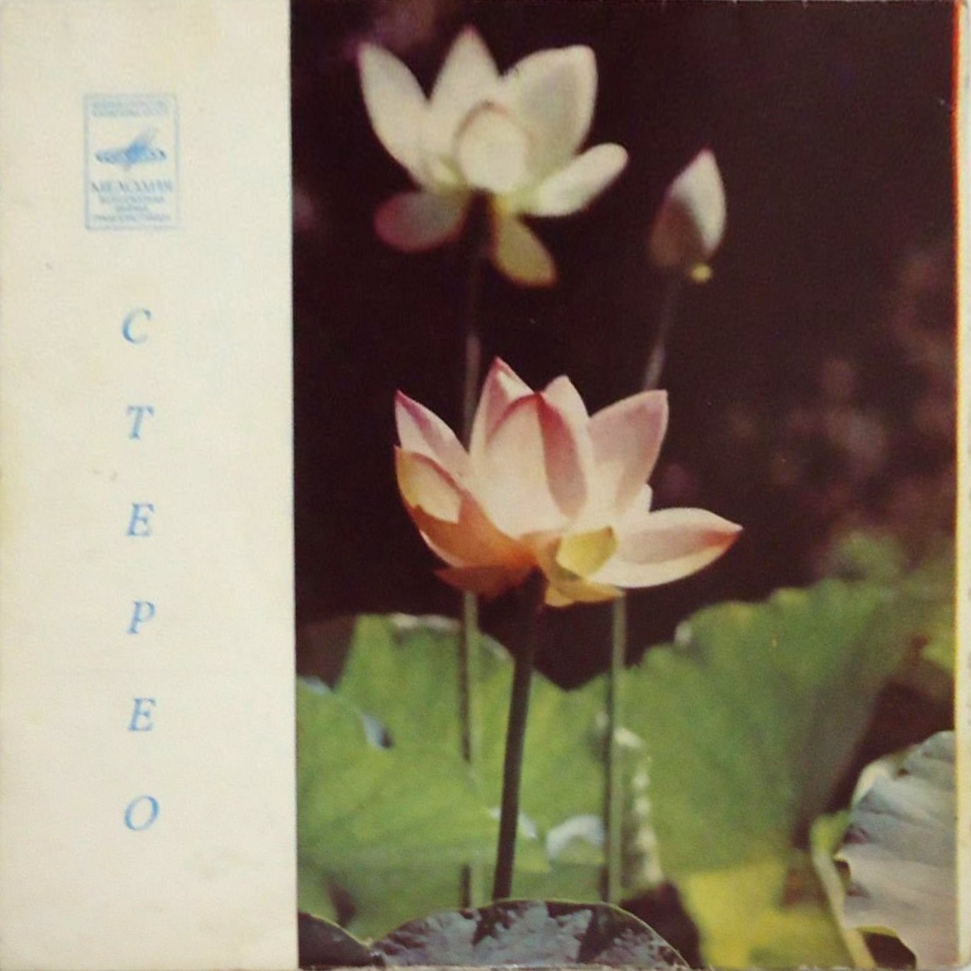 ВИА «ДОС-МУКАСАН» п/у Д.Сулеева, солист Б.Джумадилов