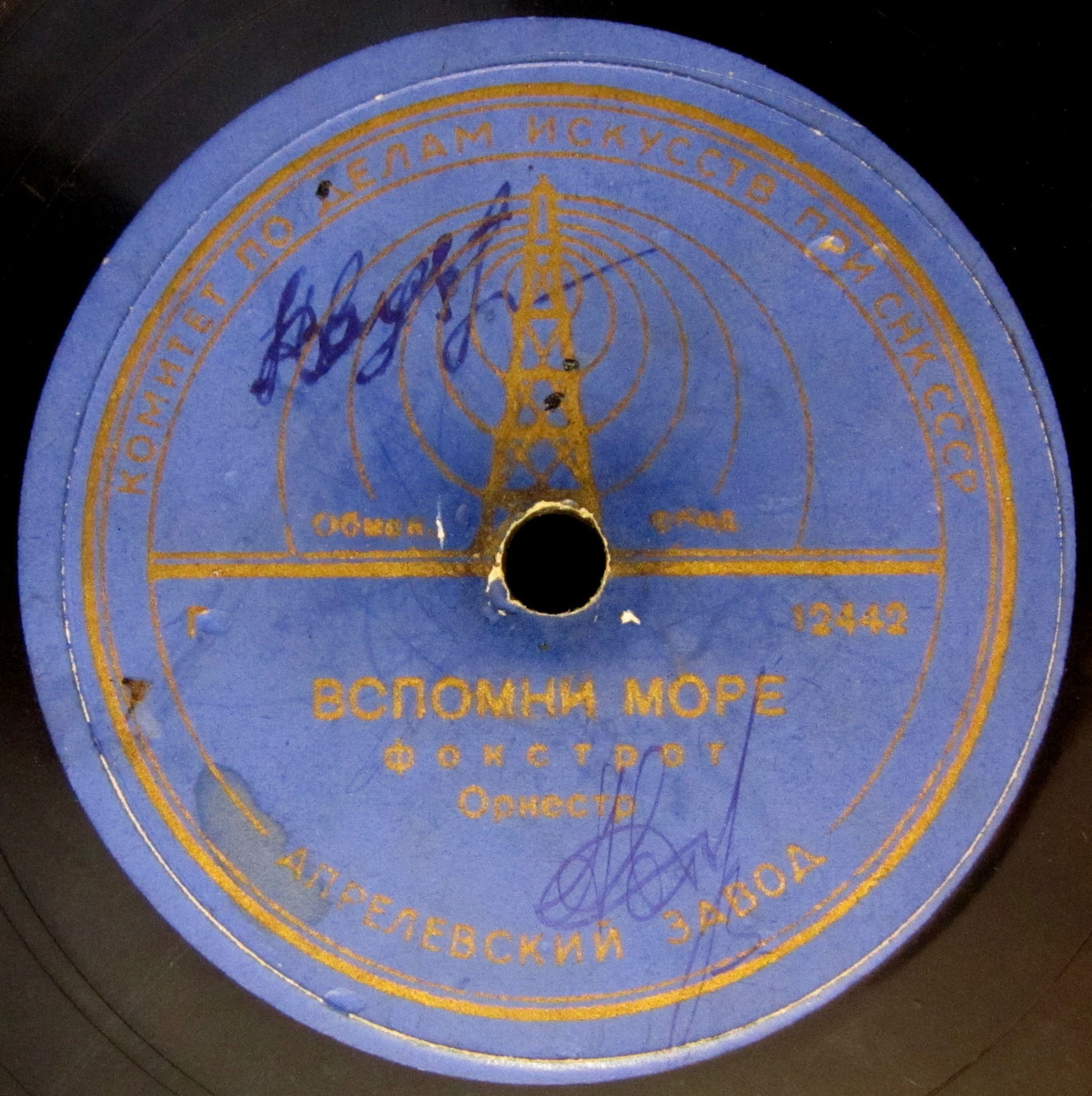 Оркестр — В лесу / Вспомни море