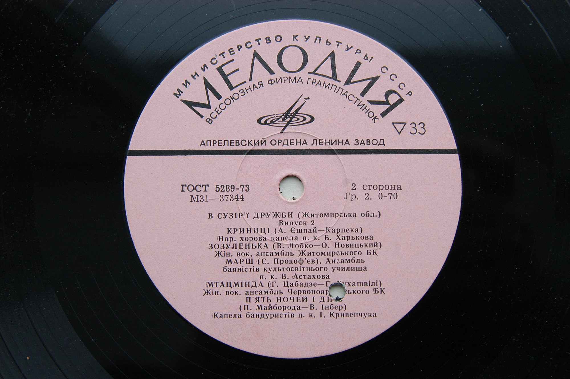 В СУЗIР'I ДРУЖБИ (фестиваль). Випуск 2. Житомирская область