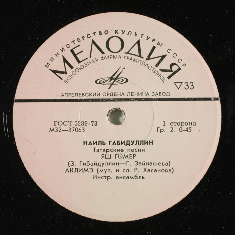 Наиль ГАБИДУЛЛИН: Татарские песни