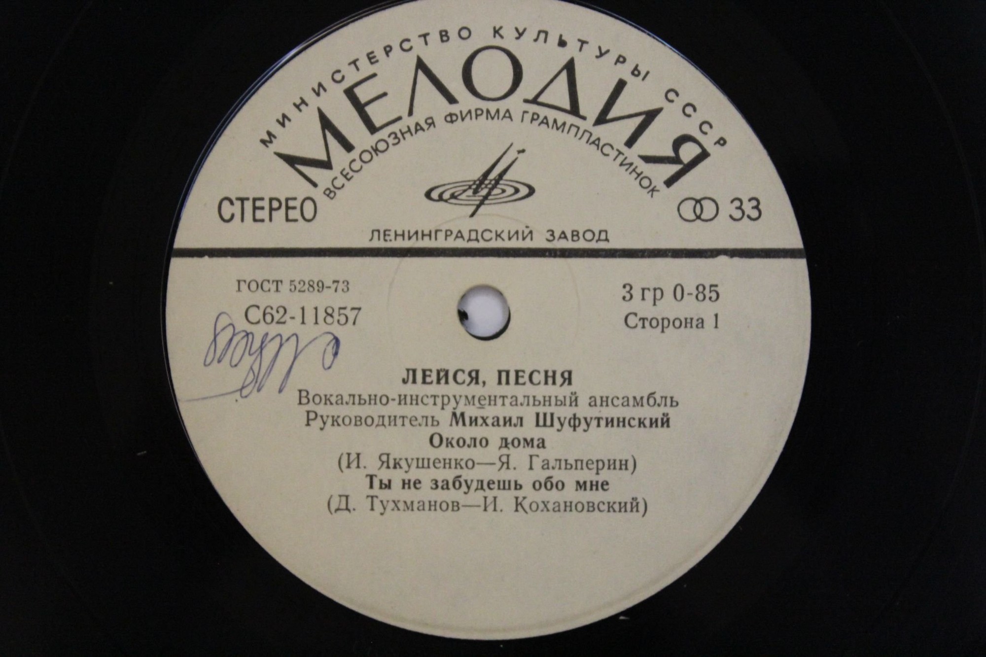 ВИА "Лейся, песня"