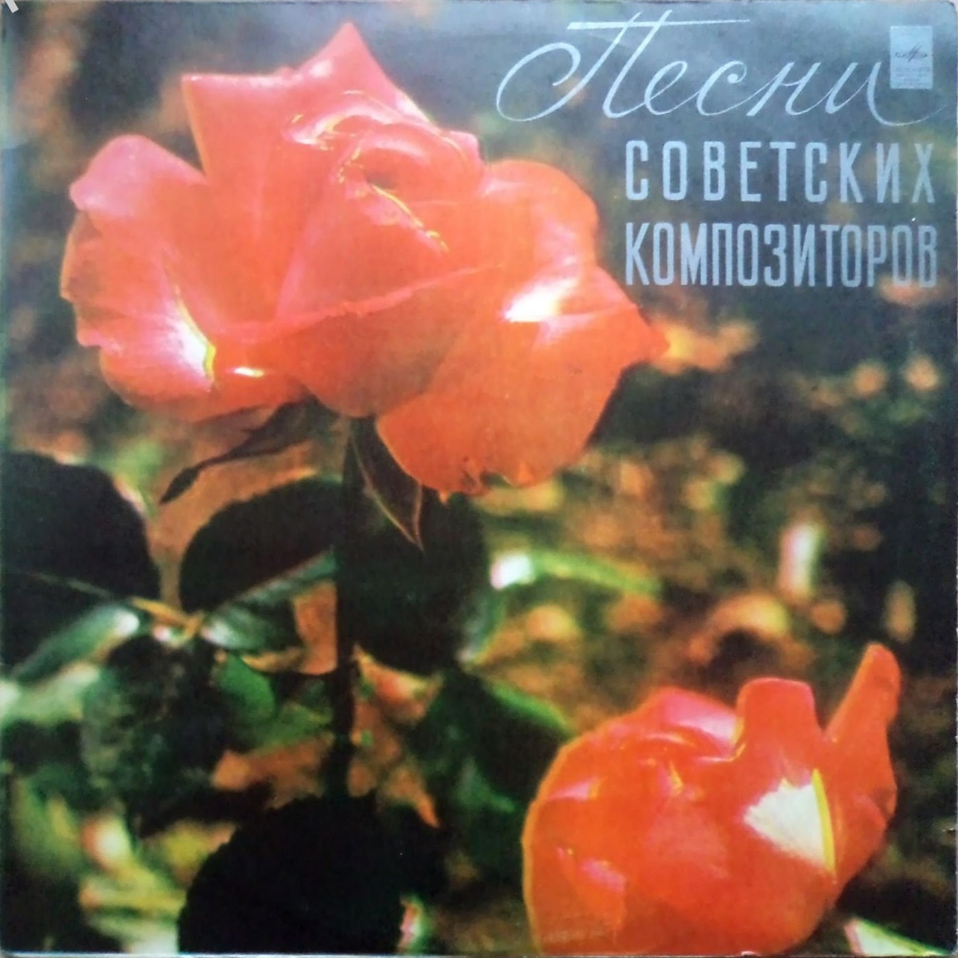 Песня служит на границе (2)