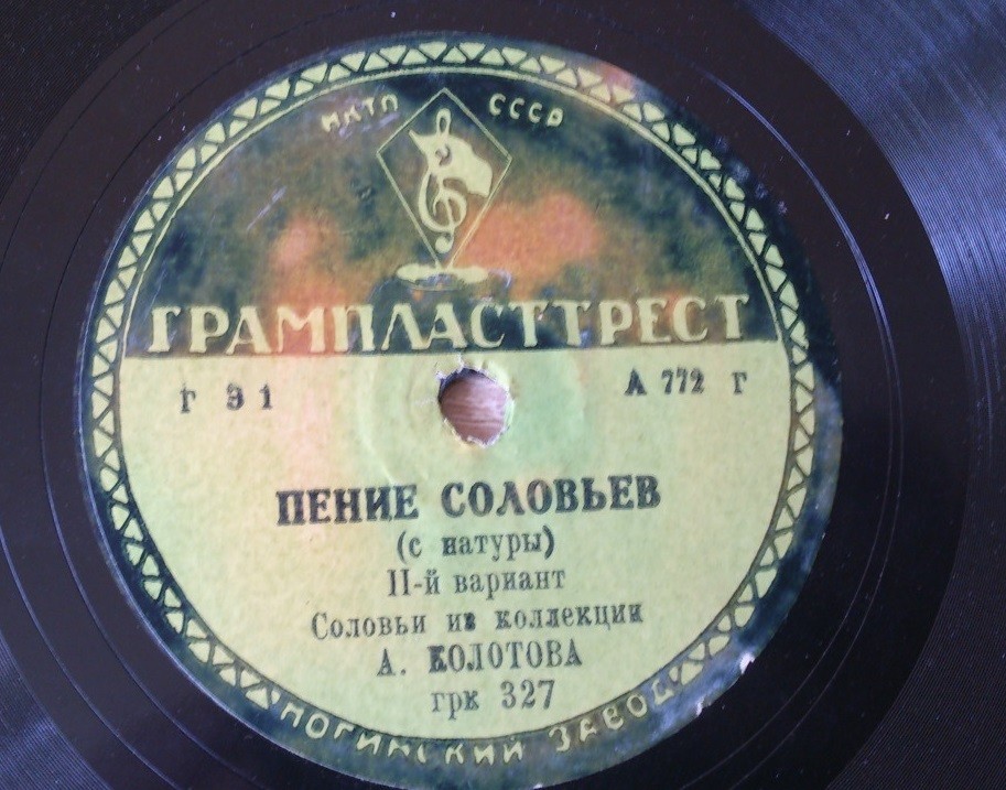Пение соловьев (1 вариант - с натуры, 2 вариант)