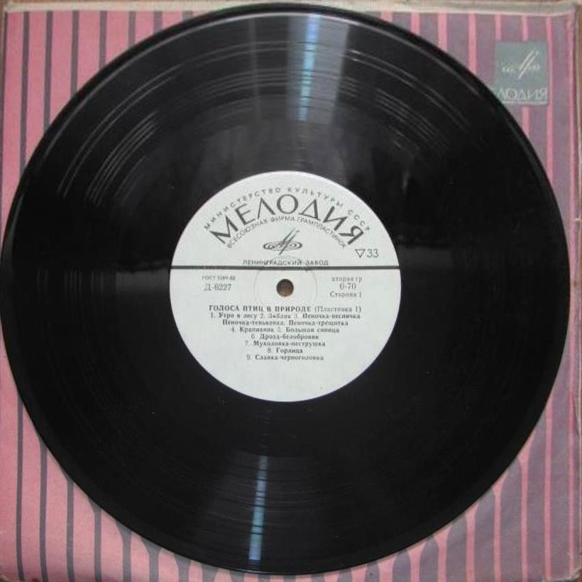 ГОЛОСА ПТИЦ В ПРИРОДЕ (1 серия)