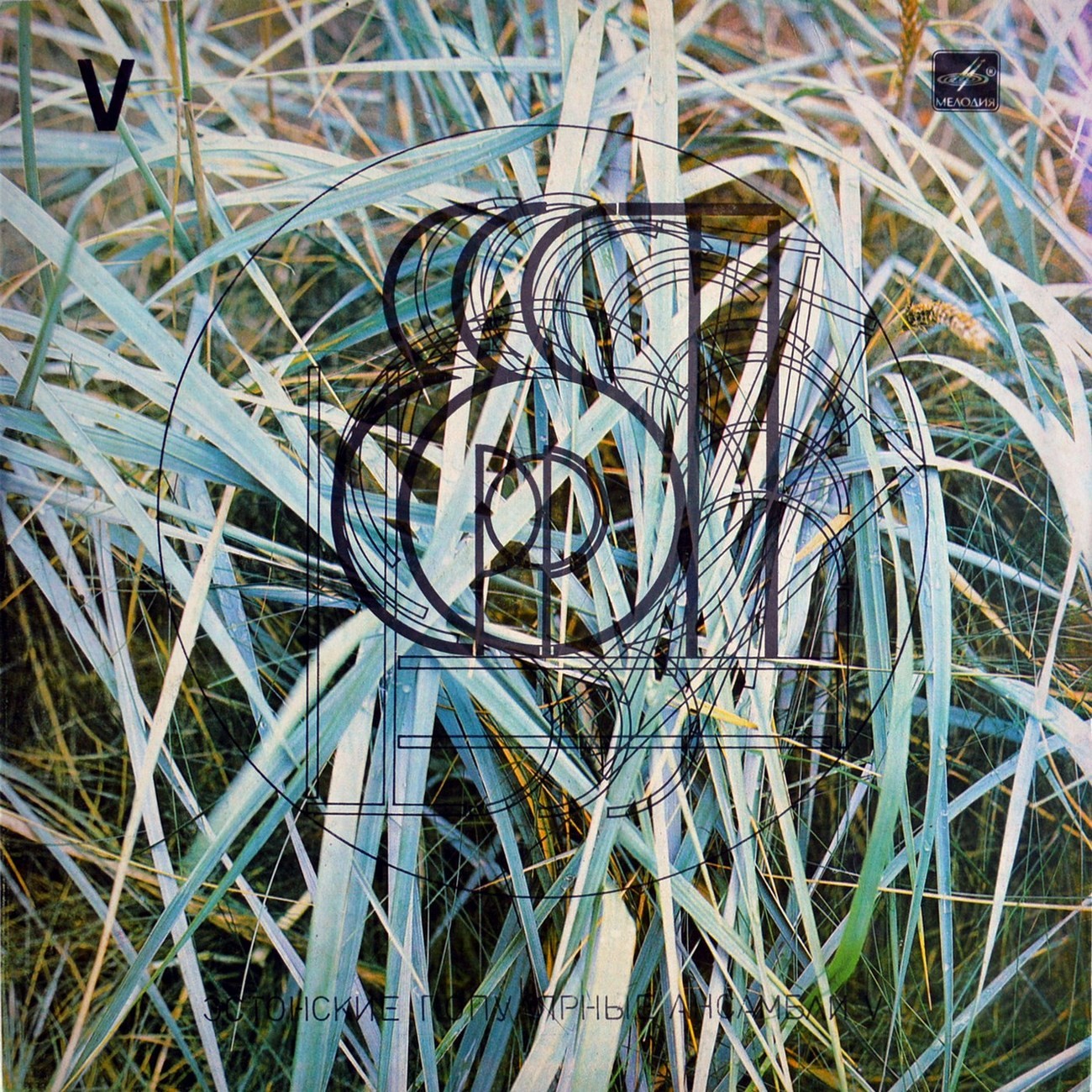 ЭСТОНСКИЕ ПОПУЛЯРНЫЕ АНСАМБЛИ 5 (Eesti Pop V) — на эстонском языке