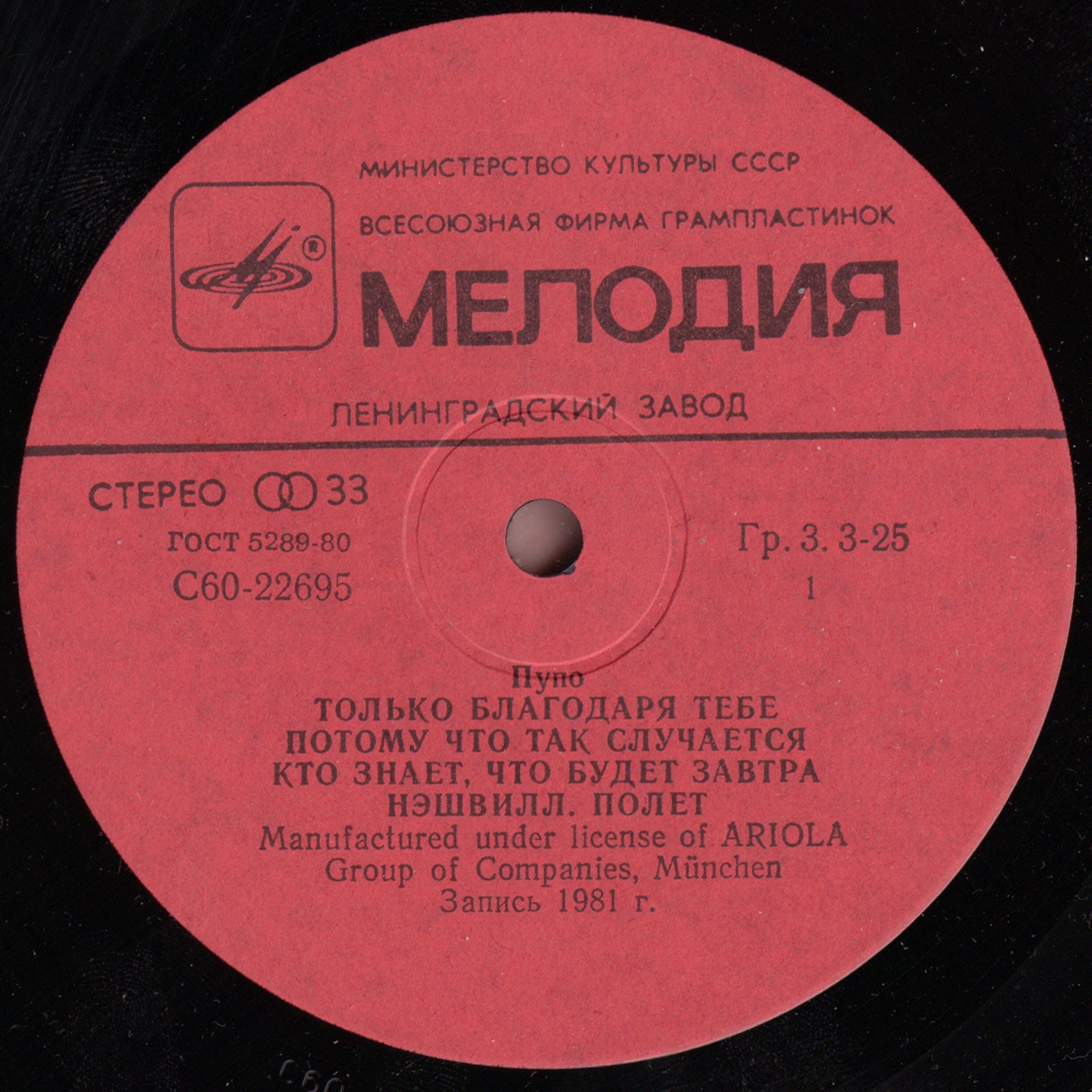 Пупо. Pupo
