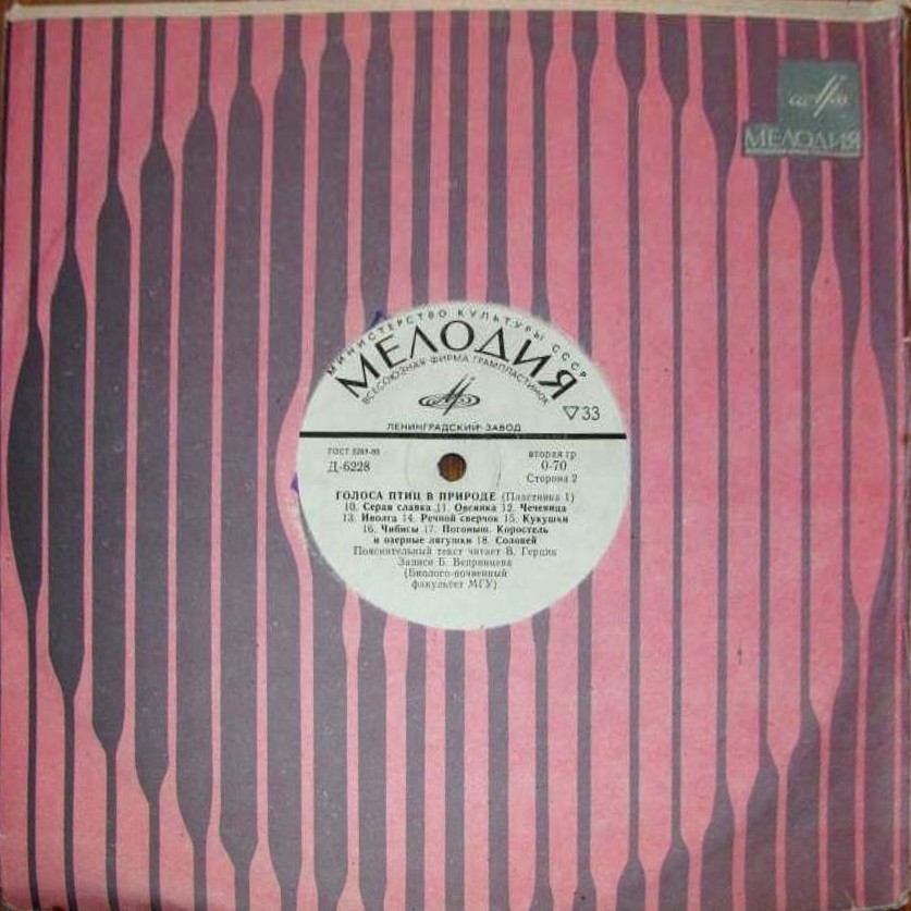 ГОЛОСА ПТИЦ В ПРИРОДЕ (1 серия)