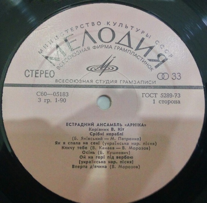 ВИА "Арника"