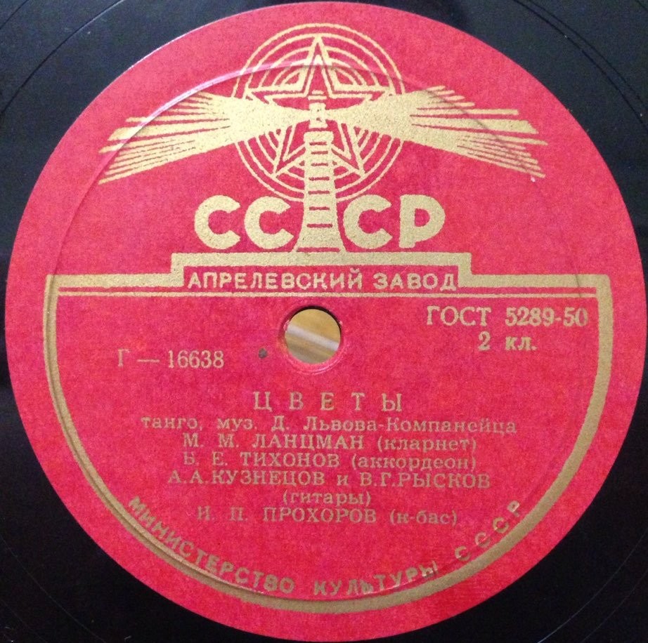 Полевой цветок // Цветы