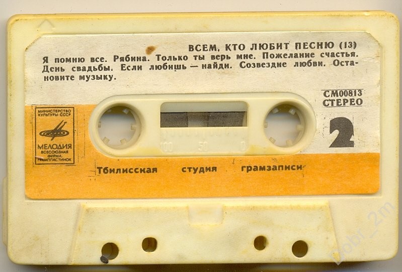Всем, кто любит песню (13)