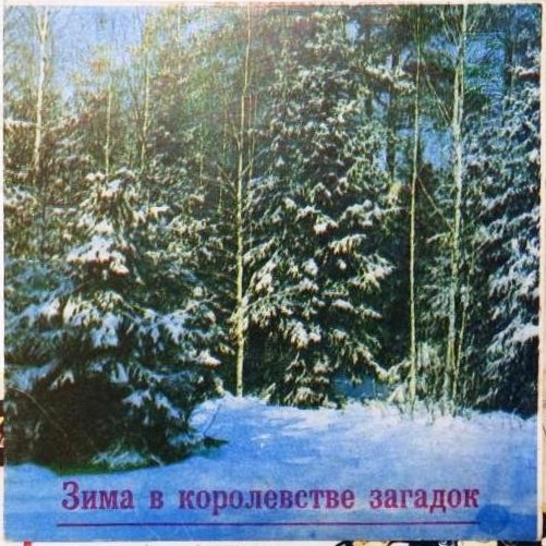 ЗИМА В КОРОЛЕВСТВЕ ЗАГАДОК, музыкальная сказка