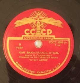 КАК ЗАКАЛЯЛАСЬ СТАЛЬ. Роман Н. Островского. Отрывок из 8 главы 2 части. Читает автор