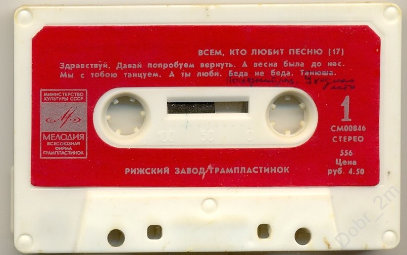 Всем, кто любит песню (17)