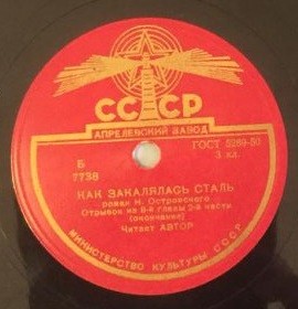 КАК ЗАКАЛЯЛАСЬ СТАЛЬ. Роман Н. Островского. Отрывок из 8 главы 2 части. Читает автор