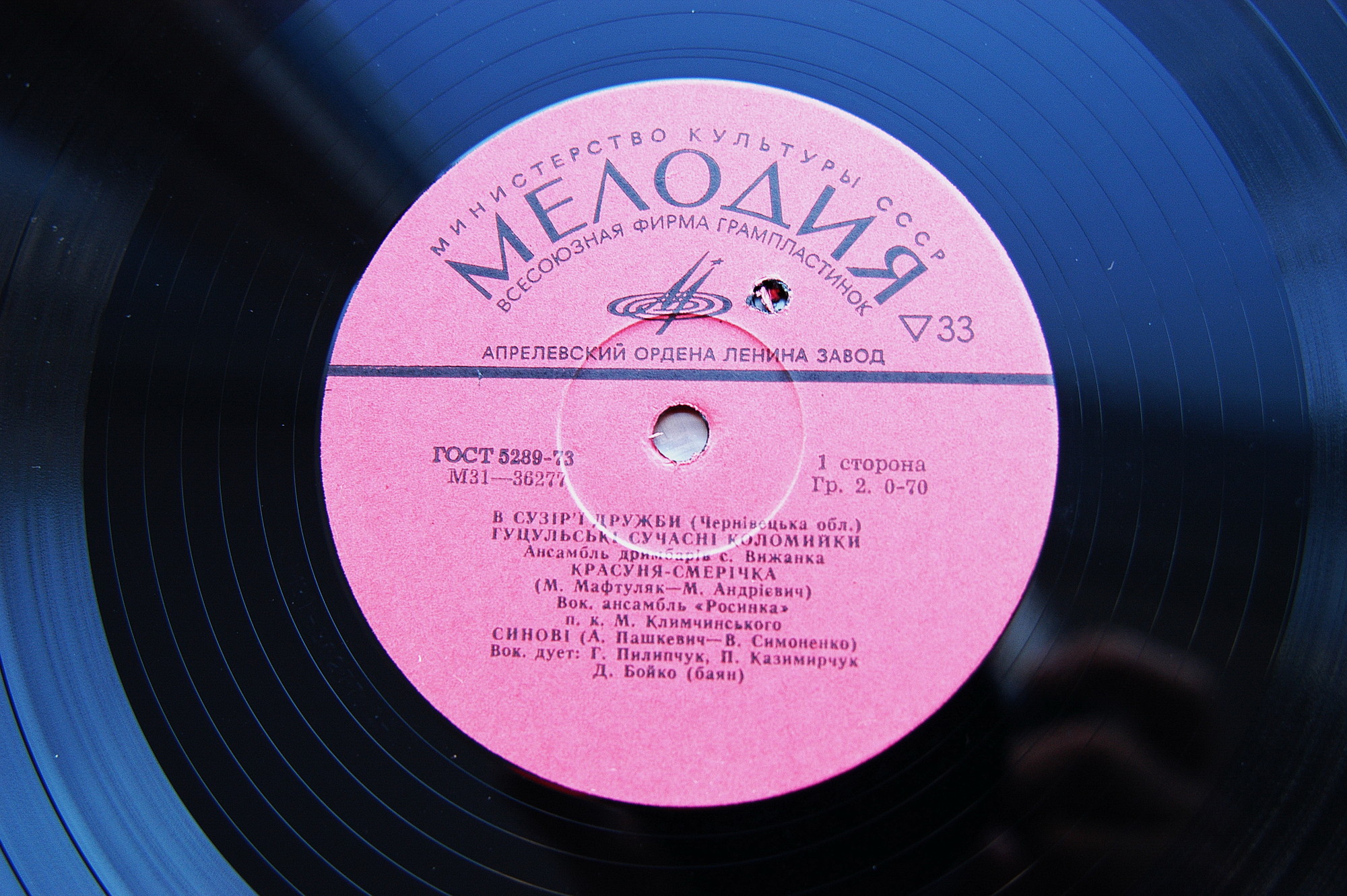 В СУЗIР'Ї ДРУЖБИ (фестиваль). Черновицкая область