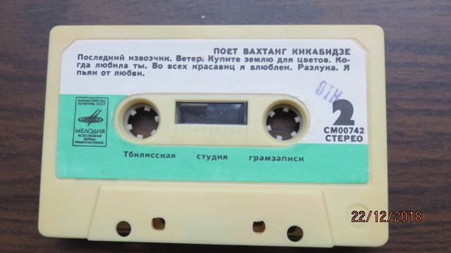 Поёт Вахтанг Кикабидзе